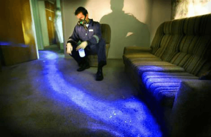 Crime scene with luminol sprayed to reveal trail of blood